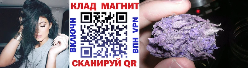 Где продают наркотики Лесной Alpha PVP  Канабис  COCAIN 