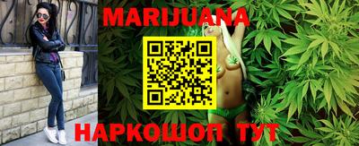 прущие грибы Кингисепп