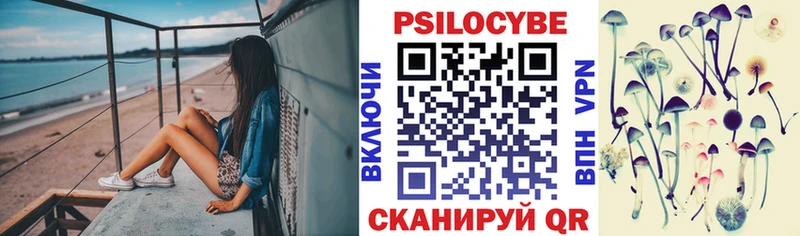 МЕГА ТОР Лесной Галлюциногенные грибы мицелий