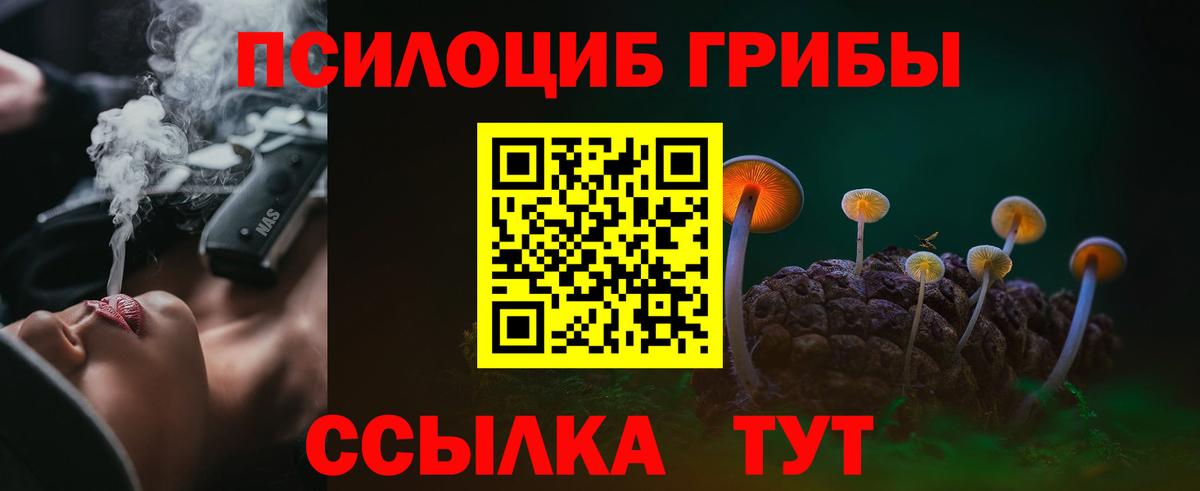 Галлюциногенные грибы MAGIC MUSHROOMS  Вход с VPN  Лесной  Галлюциногенные грибы Magic Shrooms 
