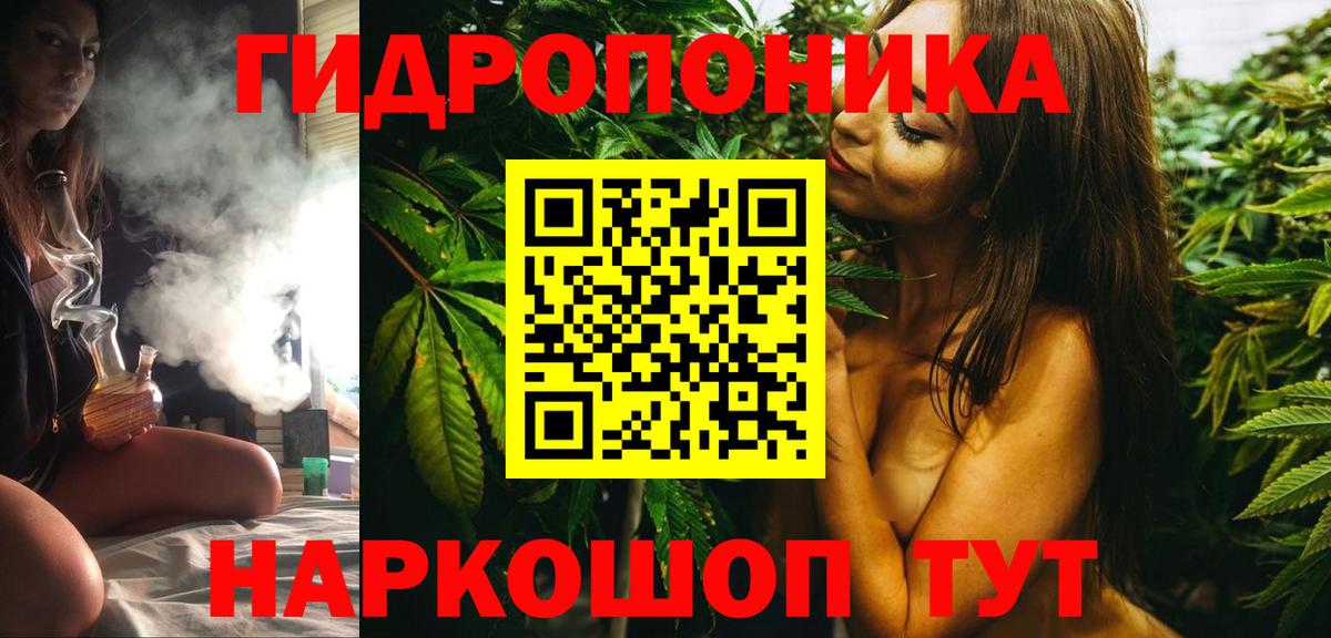 Бошки марихуана семена  Конопля планчик  Лесной  Вход с VPN 
